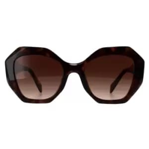 Round Tortoise Brown Gradient PR16WS