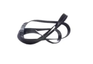 Bosch V-ribbed belt MERCEDES-BENZ,HYUNDAI,HONDA 1 987 946 261 53011097,252124A700,38920RBDE01 38920RBDE02,252124A700,53011097,252124A700,0009930695