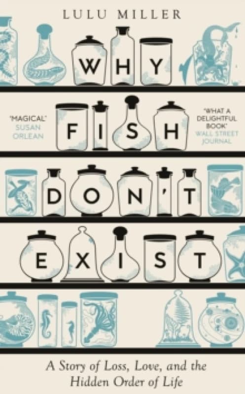 Why Fish Don't Exist : A Story of Finding Our Way in a Chaotic World Hardback