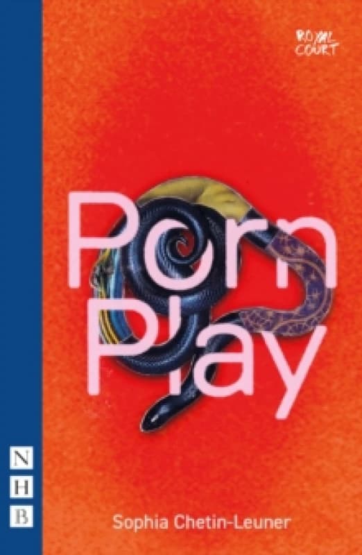 Porn Play Paperback / softback