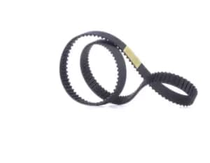 RIDEX Timing Belt 306T0061 Cam Belt,Toothed Belt VW,AUDI,SKODA,Golf V Schragheck (1K1),TOURAN (1T1, 1T2),Passat Variant (3C5),GOLF VI (5K1)