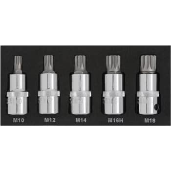 01509 5 Piece 1/2' Spline Bit Set (M10-M18) (EVA FOAM) - Bluespot