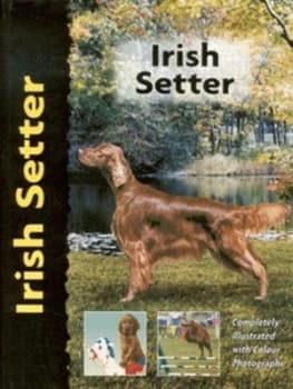 Irish Setter Hardback