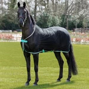 Amigo Net Cooler - Black/Teal