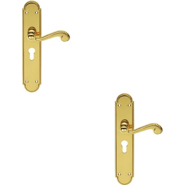 Loops 2x PAIR Beaded Pattern Handle on Euro Lock Backplate 249 x 50mm Polished Brass Metallics