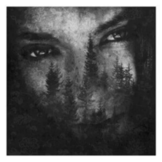 The Ashes of Light Vinyl