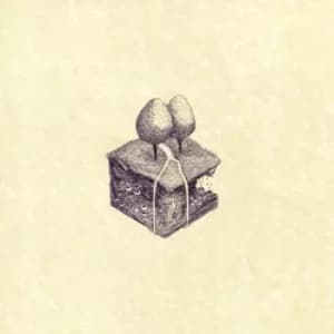 Western Culture by Kiran Leonard Vinyl Album