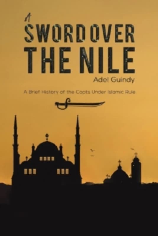 A Sword Over the Nile Paperback / softback