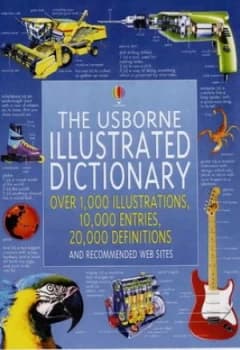 The Usborne Illustrated Dictionary by Jane Bingham and Rachel Wardley and Sean Wilkinson Hardback