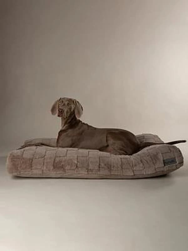 Scruffs Oxford Dog Bed Mattress Large Silver BED/RCD/829917