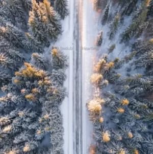 Heartless by Bvdub CD Album