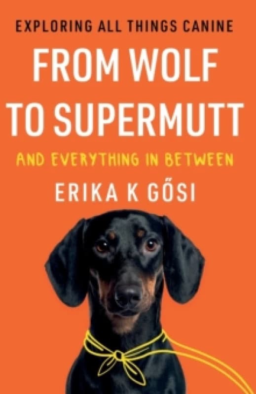 From Wolf to Supermutt and Everything In Between : Exploring All Things Canine Paperback / softback