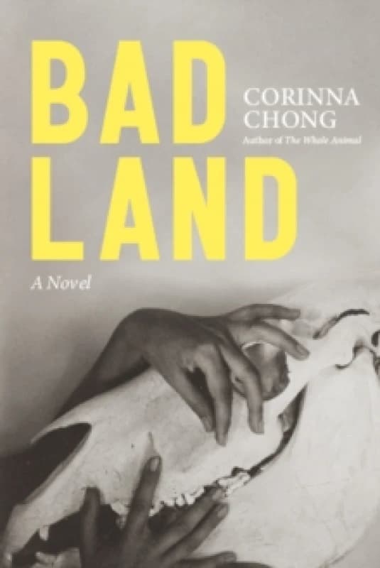 Bad Land Paperback / softback