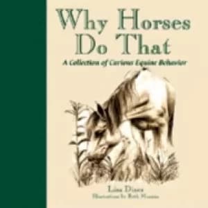 why horses do that a collection of curious equine behaviors