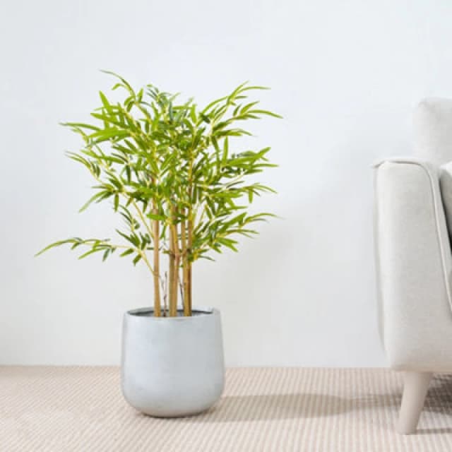 MCC Direct Artificial Fake Bamboo Tree Plant with Plastic Planter Pot 80cm Multi