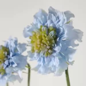 Crossland Grove Scabiosa Spray Blue (6Pk) 510Mm