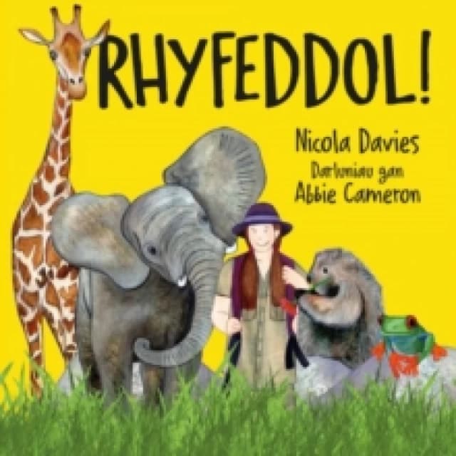 Rhyfeddol! Paperback / softback