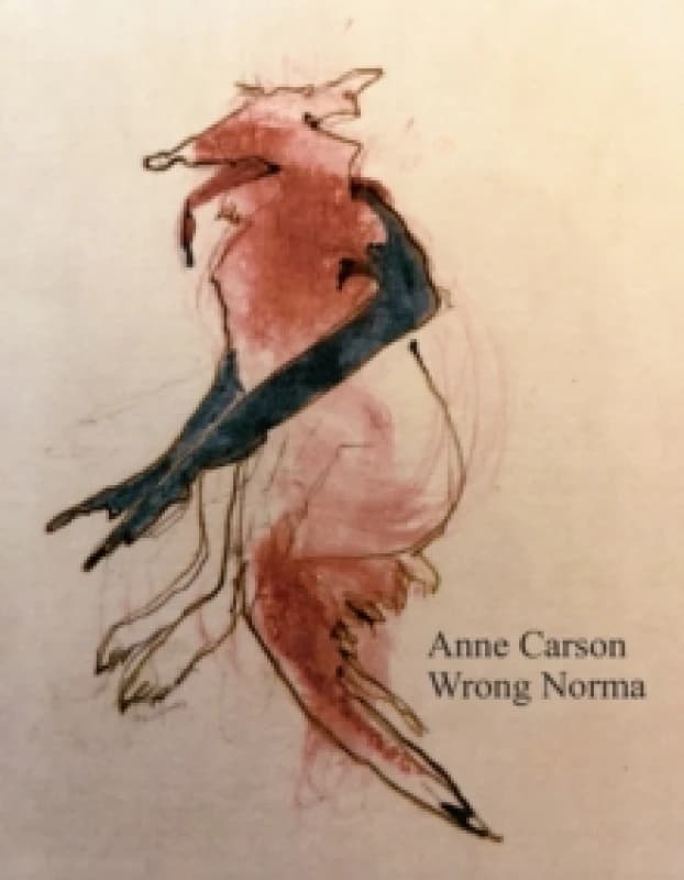 Wrong Norma Paperback / softback