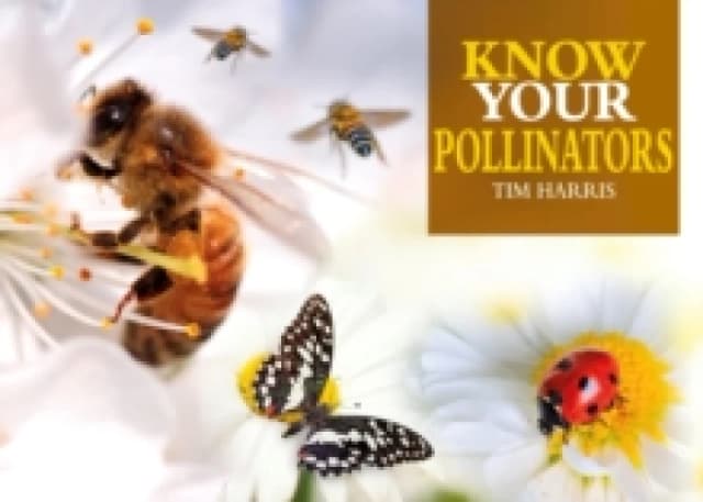 Know Your Pollinators Paperback / softback