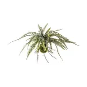 Crossland Grove Hanging Boston Fern 380X380X560Mm