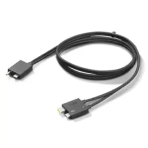 Lenovo 4X91K16970 Thunderbolt cable 0.7 m 40 Gbit/s Black