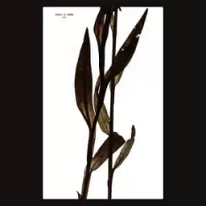 Sult by Maja S.K. Ratkje CD Album