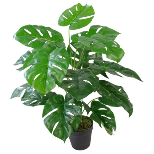 Leaf 60cm Leaf realistic Artificial Monstera Cheese Plant Green unisex