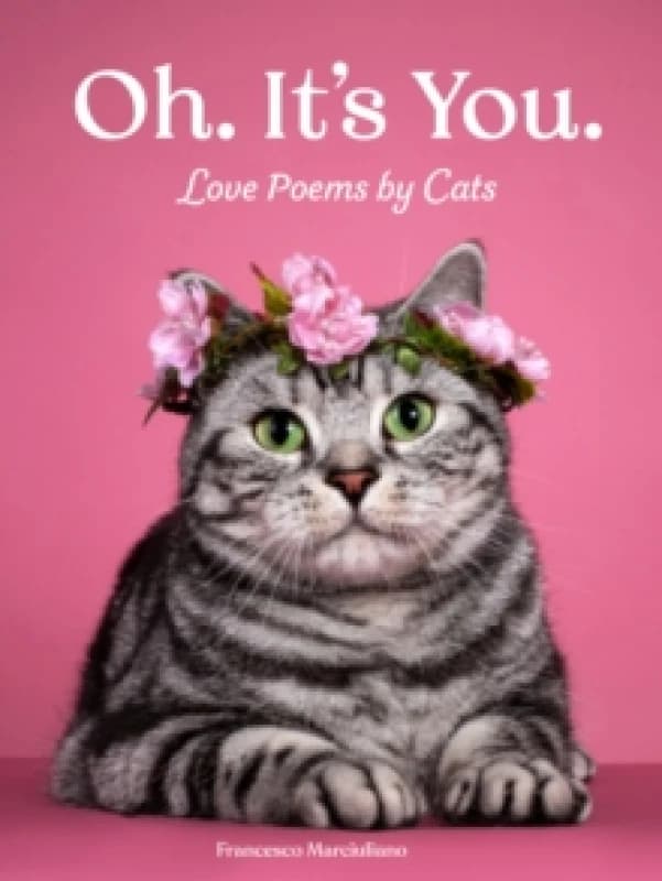 Oh. It's You. : Love Poems by Cats Hardback