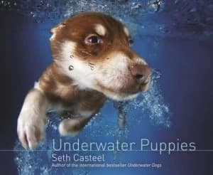 Underwater Puppies by Seth Casteel Hardback