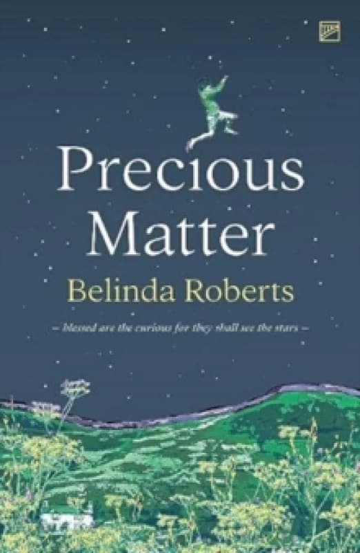 Precious Matter Paperback / softback
