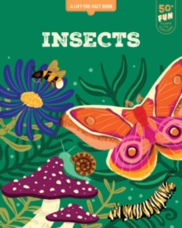 Lift the Fact: Insects Board book