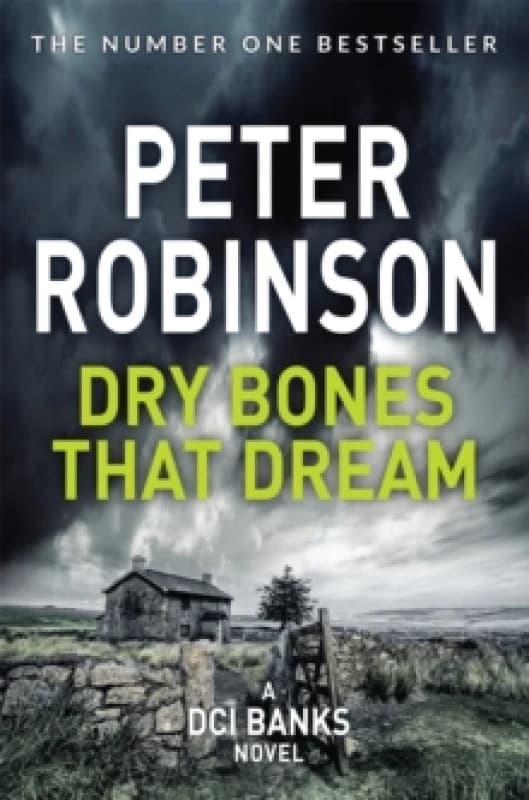 Dry Bones That Dream Paperback / softback
