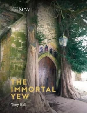 The immortal yew by Tony Hall