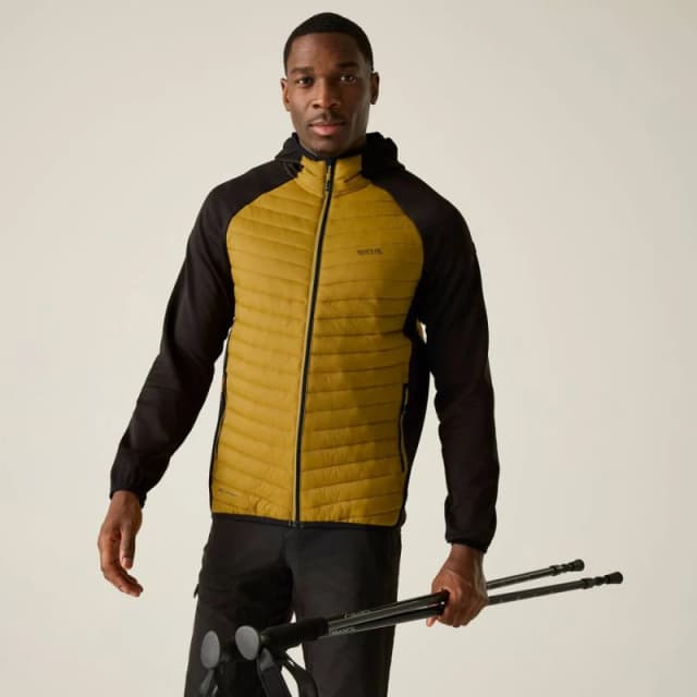 Regatta Mens Andreson Hybrid Insulated Quilted Jacket in Mustard Size: Medium Mustard Male M