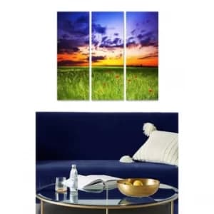 MDF84120028 Multicolor Decorative MDF Painting (3 Pieces)