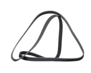 RIDEX V-ribbed belt MERCEDES-BENZ,HYUNDAI,KIA 305P0432 2521237110,2521237111,53010257 2521237110,2521237111,2521237112,0029938996,A0029938996