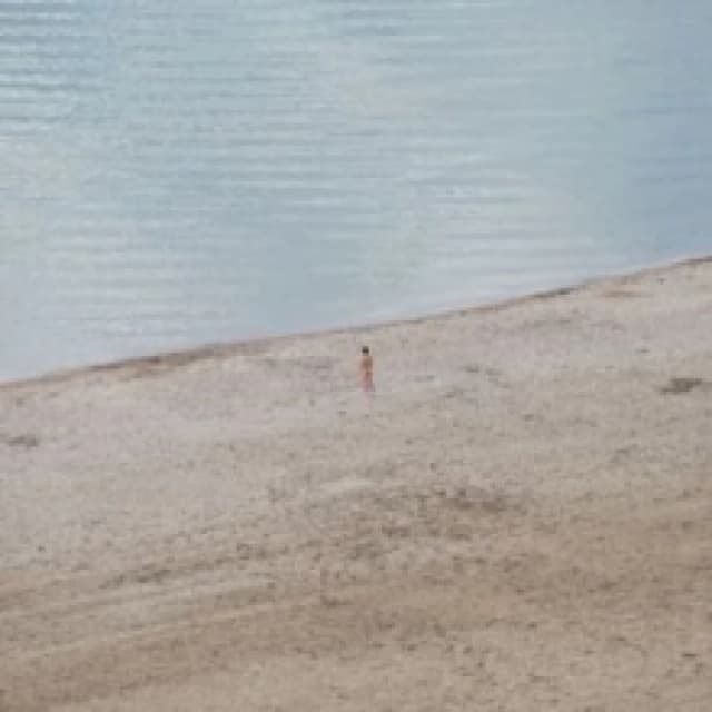 Eight Waves in Search of an Ocean Vinyl