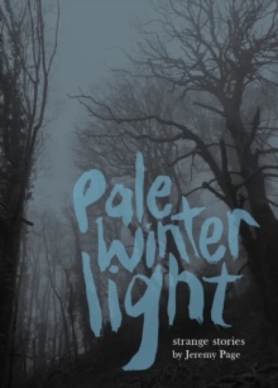 Pale Winter Light Paperback / softback