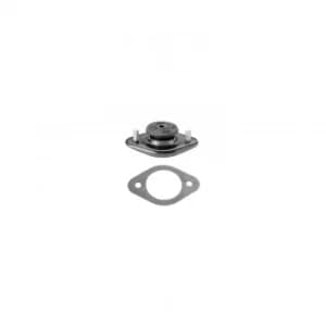 Mounting Bush Bearing 21091 by Febi Bilstein Rear Axle Left/Right