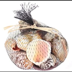 350grms Shells in Black Net