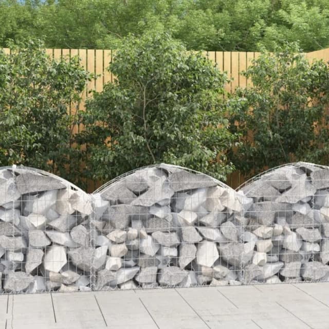 VIDAXL Vidaxl - Arched Gabion Basket 100x30x60/80cm Galvanised Iron 8720845650865