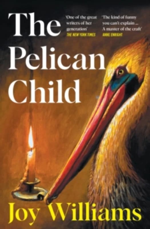 The Pelican Child : Longlisted for the 2025 National Book Award Paperback / softback