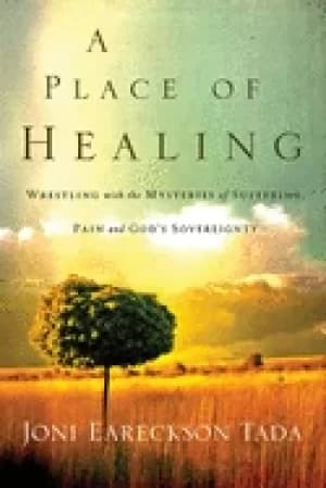 place of healing wrestling with the mysteries of suffering pain and gods so