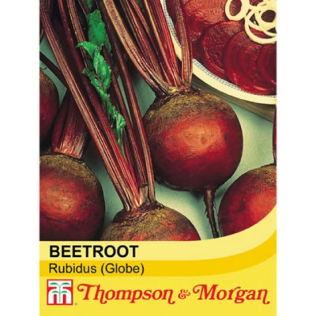 Thompson & Morgan Beetroot Detroit 6 Rubidus 1 Seed Packet (200 Seeds)