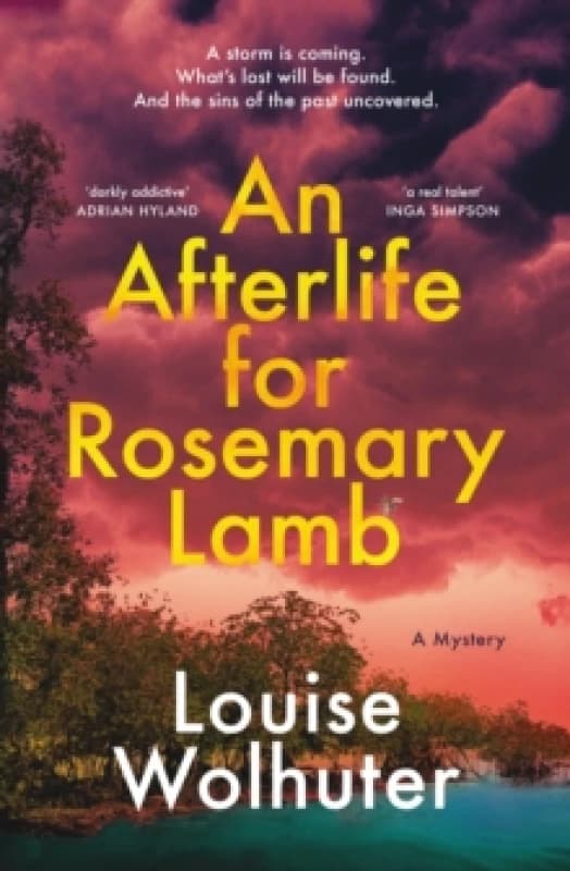 An Afterlife for Rosemary Lamb Paperback / softback