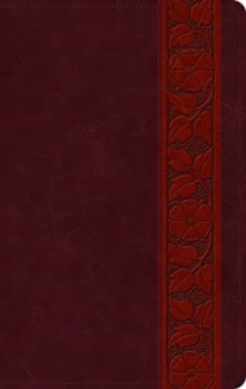 ESV Large Print Personal Size Bible, Red Letter Leather / fine binding