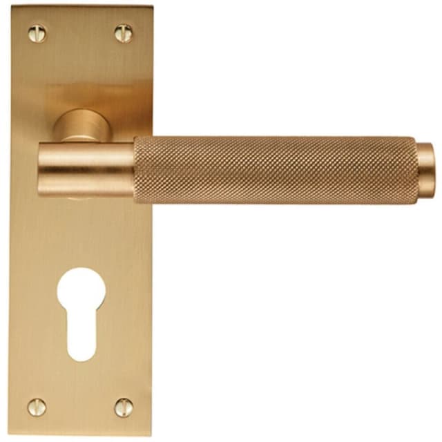 Loops PAIR Knurled Round Handle on Slim Euro Lock Backplate 150 x 50mm Satin Brass Metallics