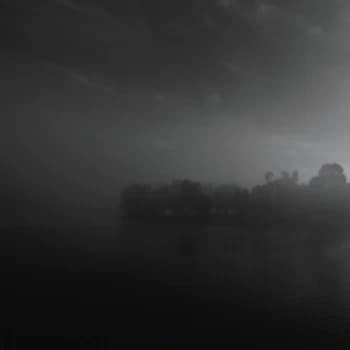 Federsen - Dewpoint Vinyl