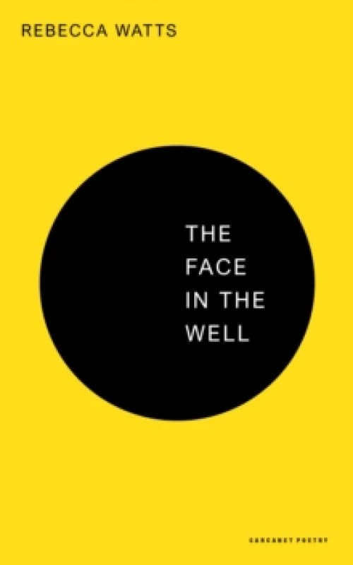 The Face in the Well Paperback / softback