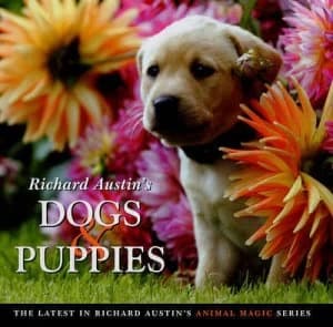 Richard Austins Dogs and Puppies by Richard Austin Hardback